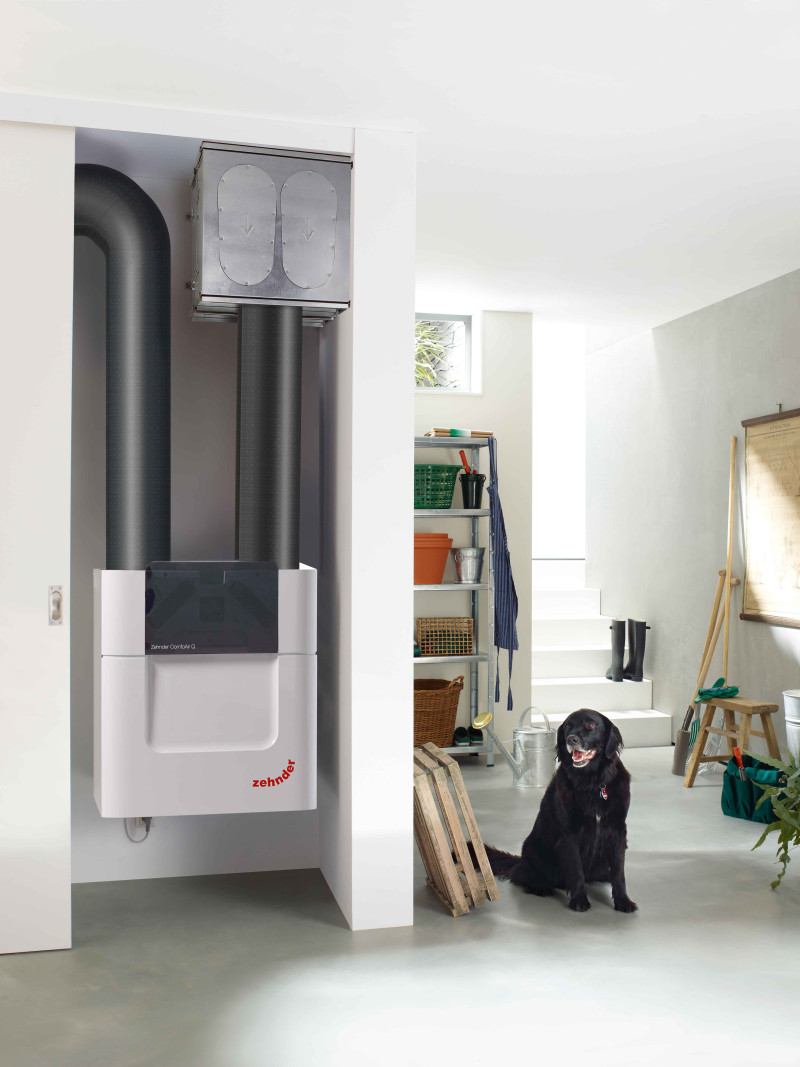 Zehnder_CSY_ComfoAir-Q600_ST_ComfoWell520_basement_garden_dog_05_Original_28270_comfopipecompact_Original_72452