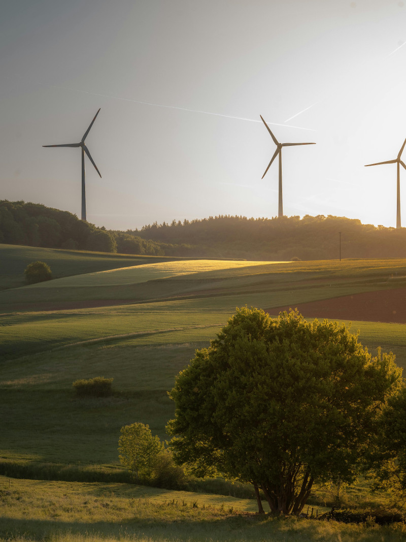 pexels-carolin-wenske-762365559-33705214