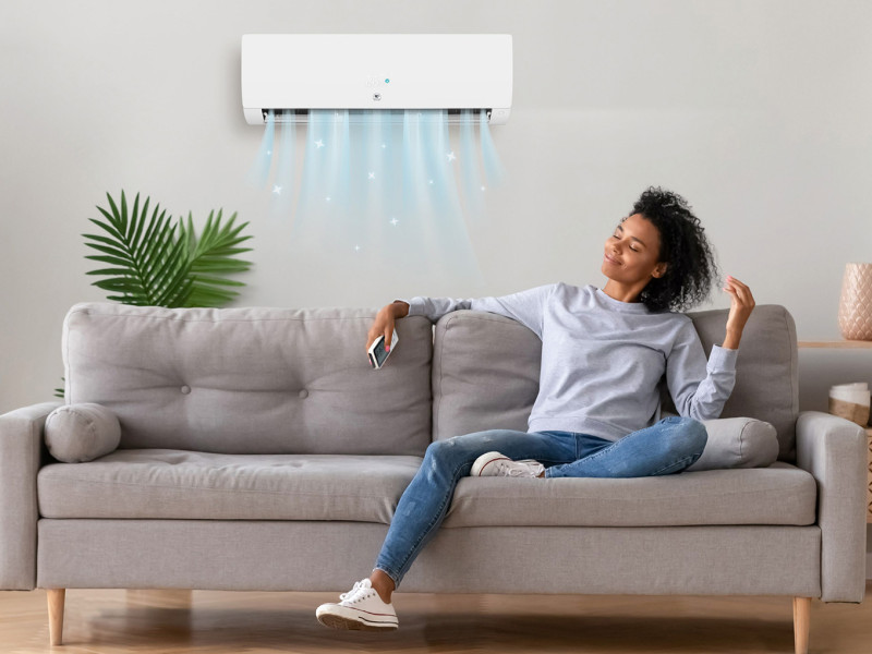 Nagano_murale_pure_ambiance_purification_bd_1 (1)